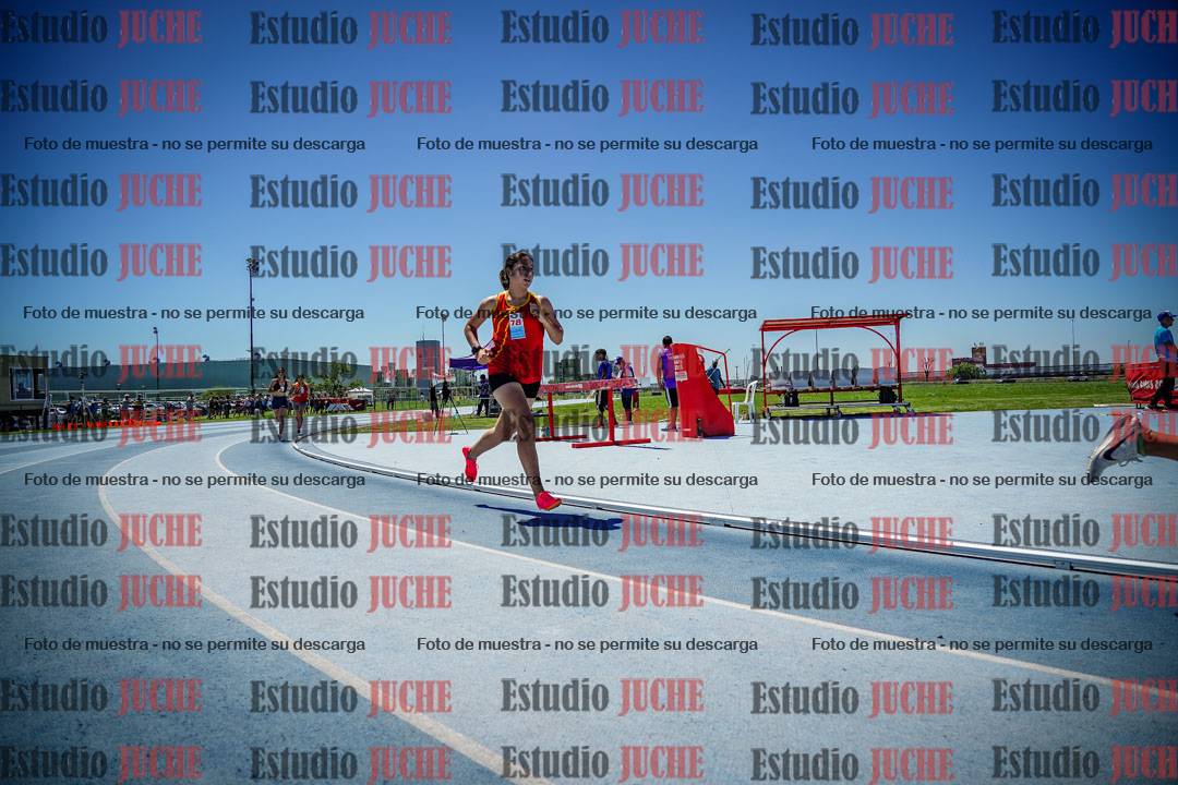 Fotos de los 800 m llanos de mujeres