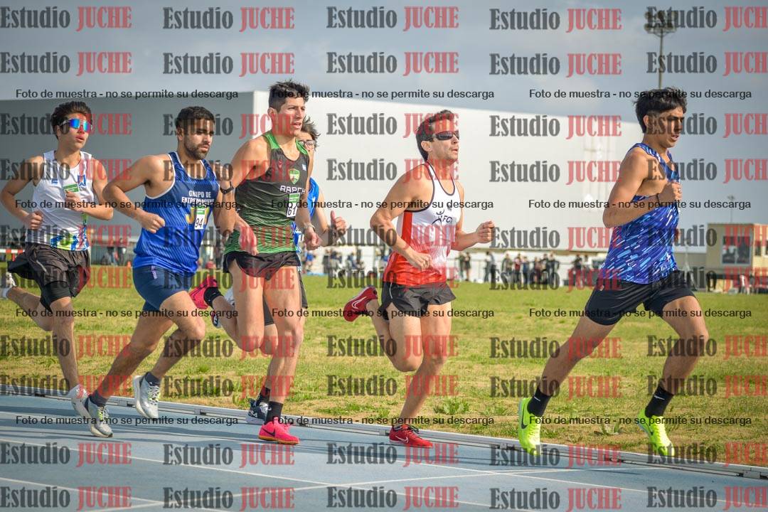 Fotos de los 800 m llanos de varones
