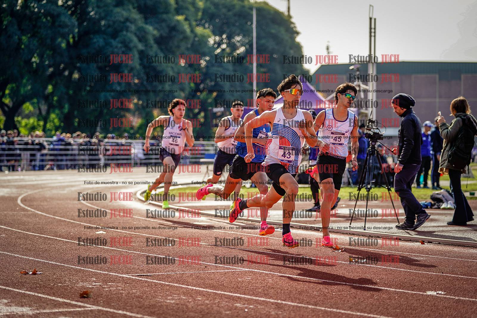 Fotos de los 800 m de varones