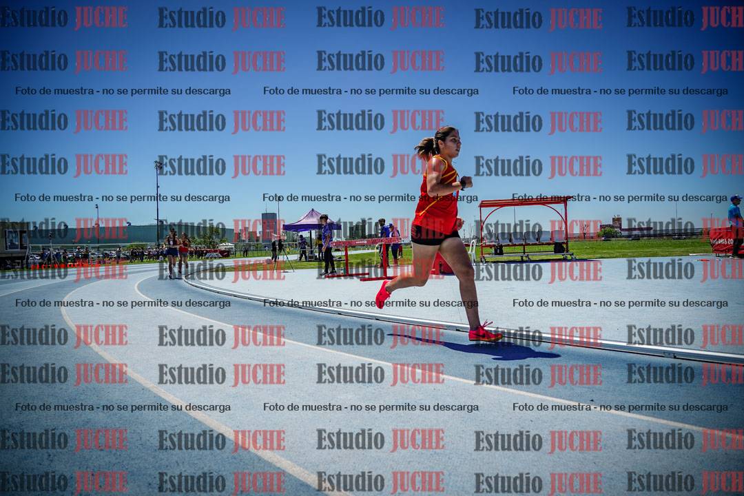 Fotos de los 800 m llanos de mujeres