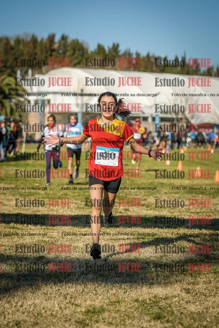 Fotos de las llegadas