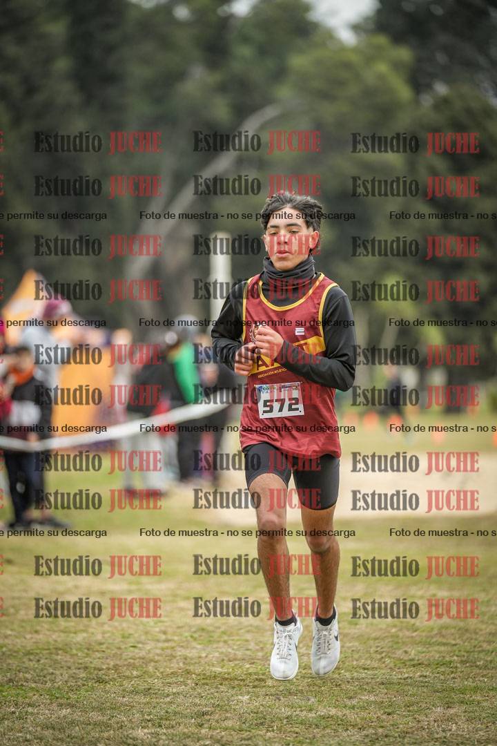 Fotos de la llegada