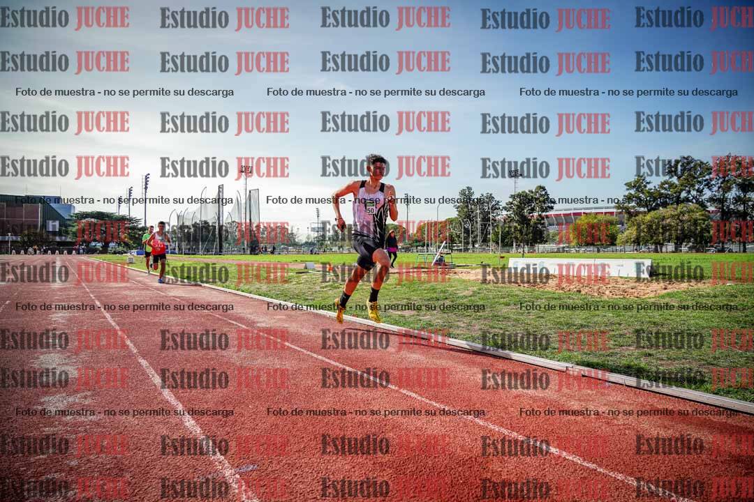Fotos de los 800 m llanos de varones