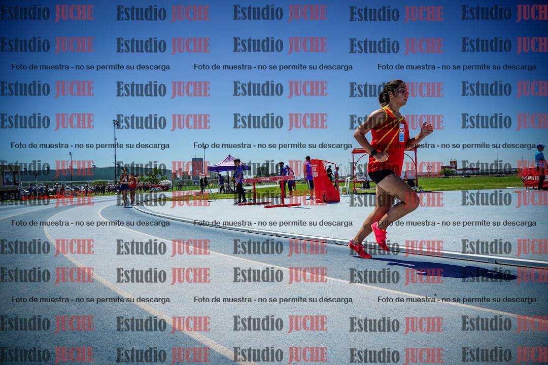 Fotos de los 800 m llanos de mujeres