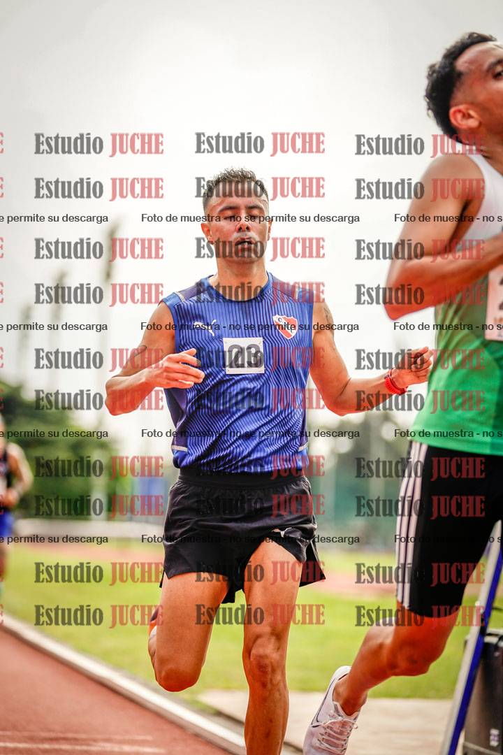 Fotos de los 3000 m llanos de varones