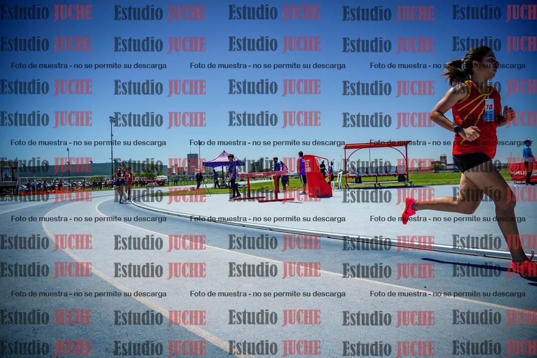 Fotos de los 800 m llanos de mujeres
