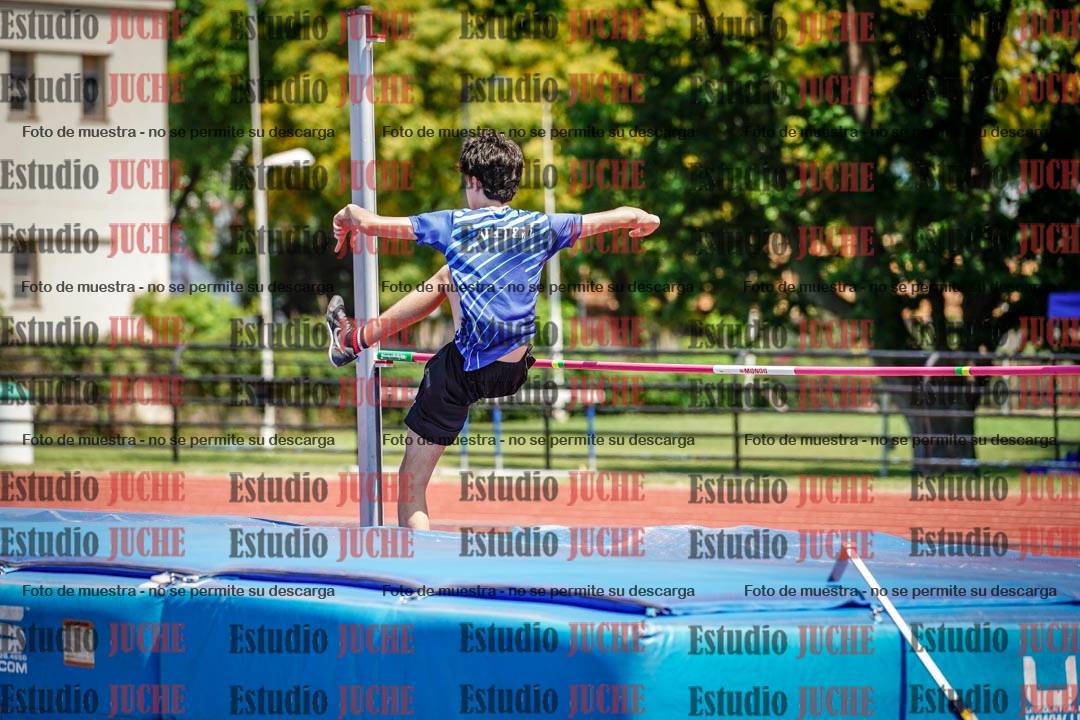Fotos del salto en alto de varones