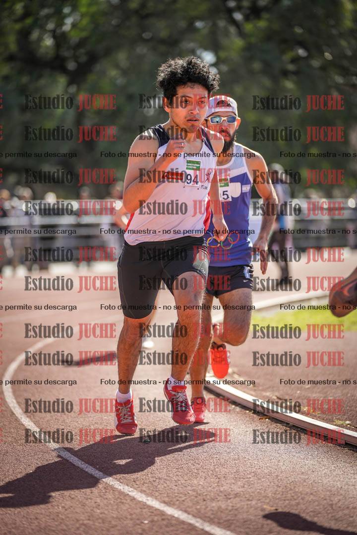 Fotos de los 800 m llanos de varones