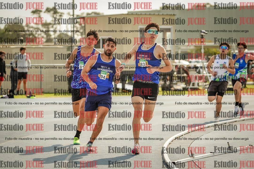 Fotos de los 800 m llanos de varones