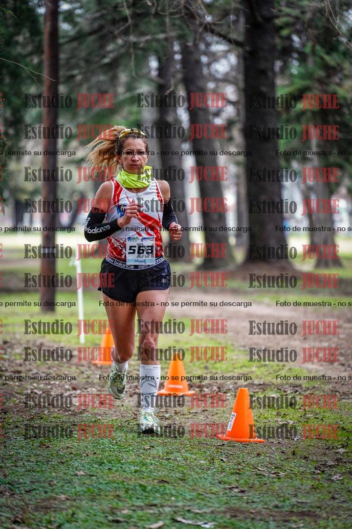 Fotos en el circuito