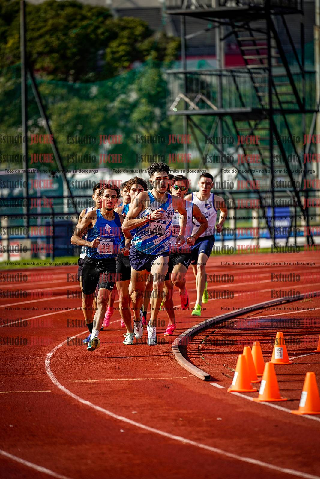 Fotos de los 800 m de varones