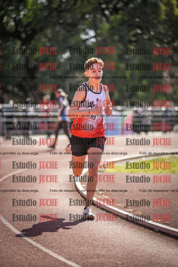Fotos de los 800 m llanos de varones