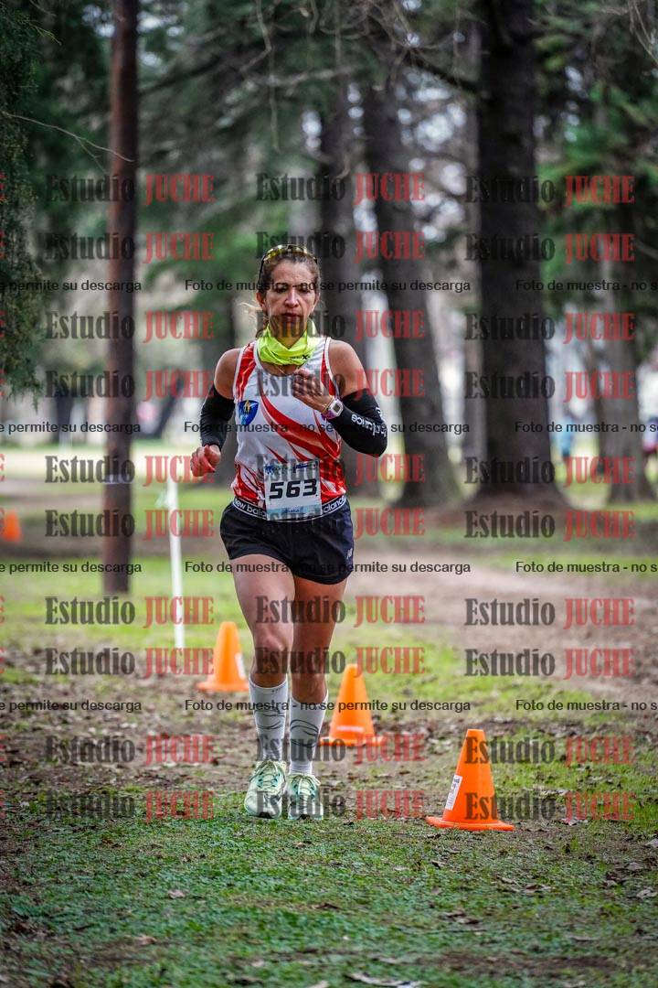 Fotos en el circuito