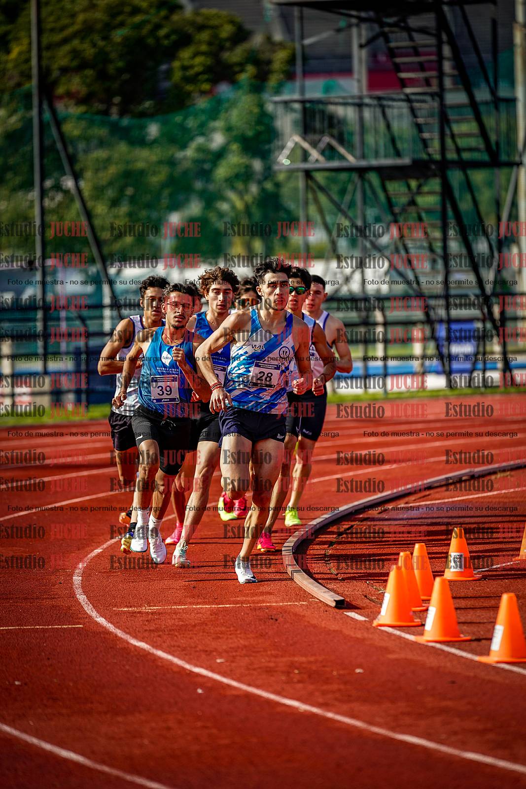 Fotos de los 800 m de varones