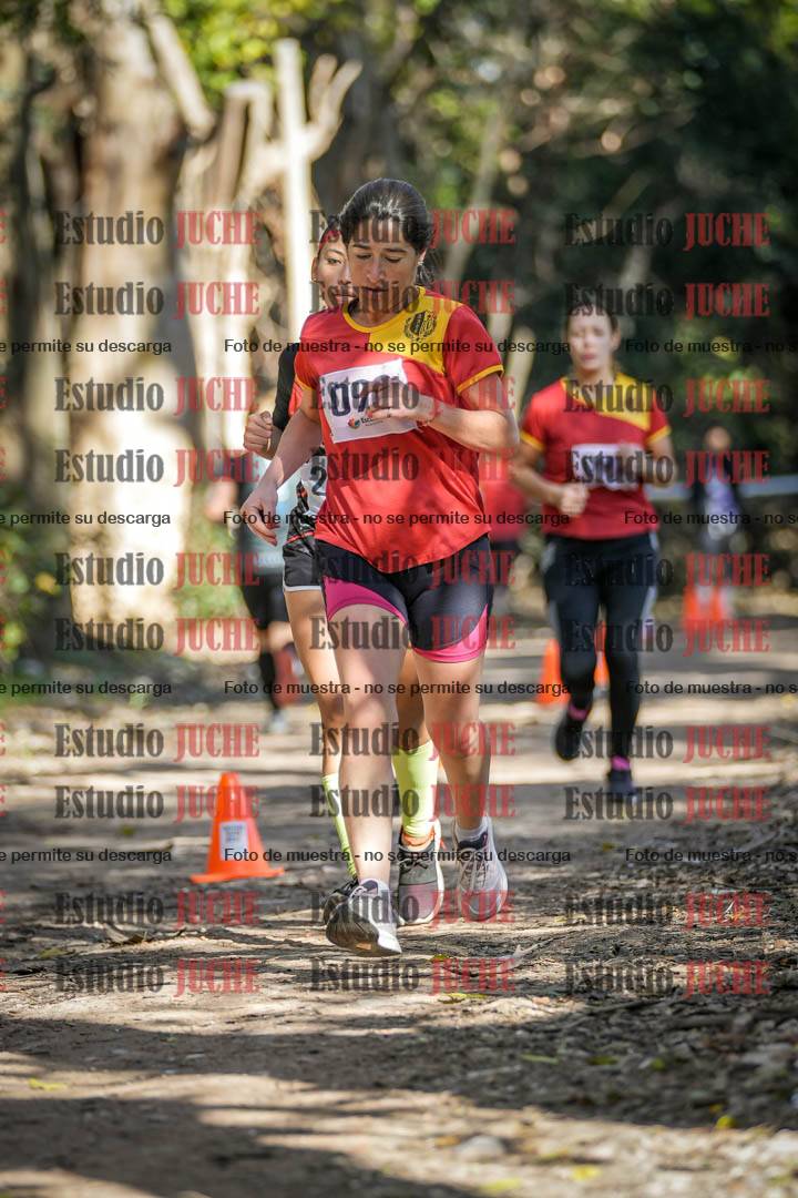 Fotos en el tercer punto del circuito