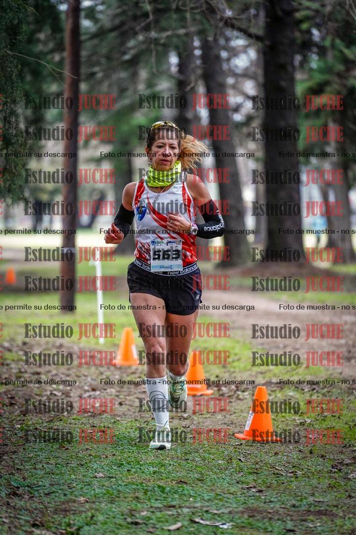 Fotos en el circuito