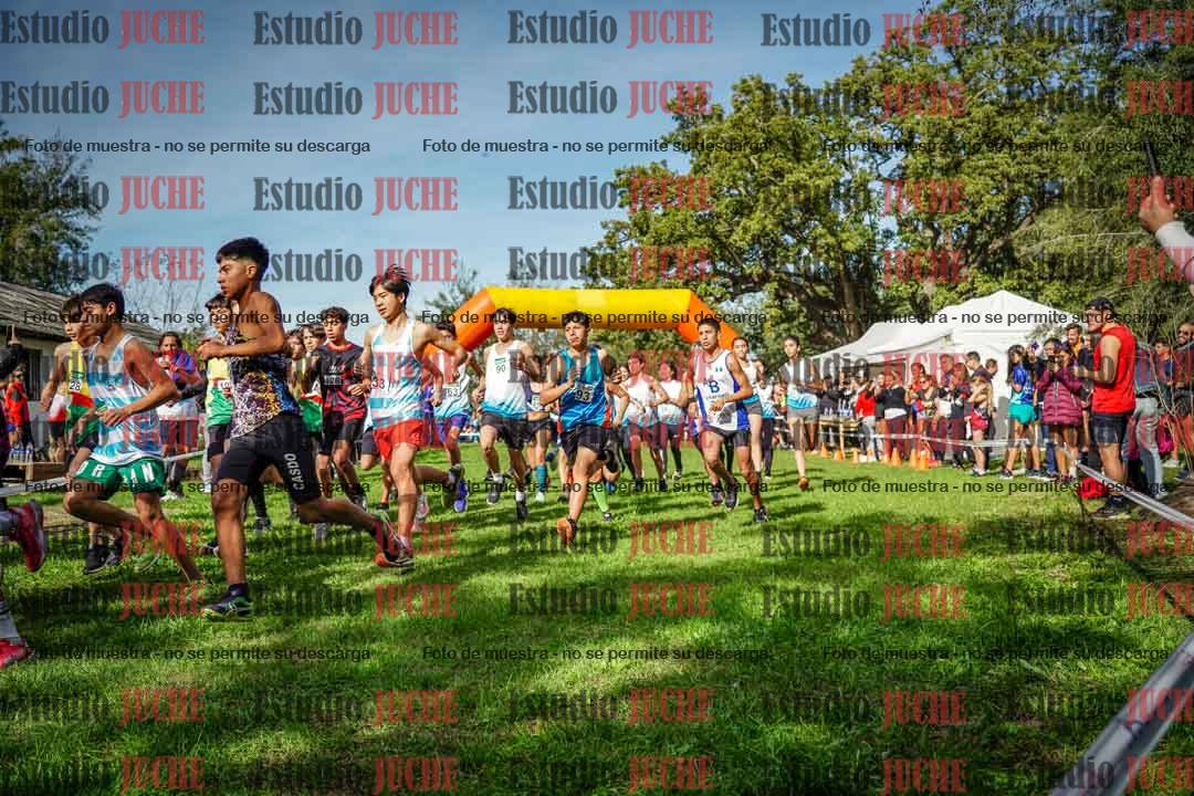 Fotos de la largada