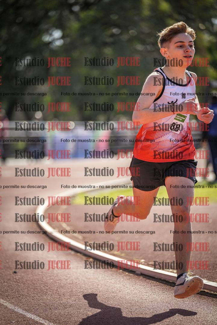 Fotos de los 800 m llanos de varones