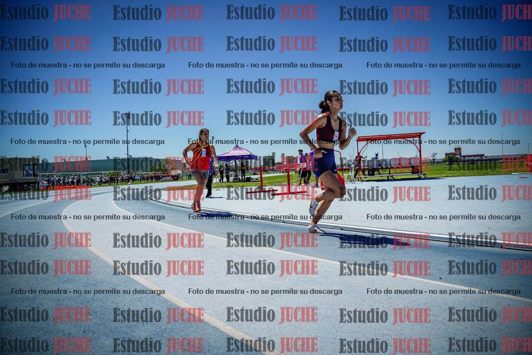 Fotos de los 800 m llanos de mujeres