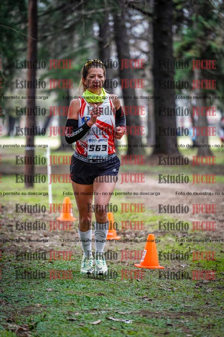 Fotos en el circuito