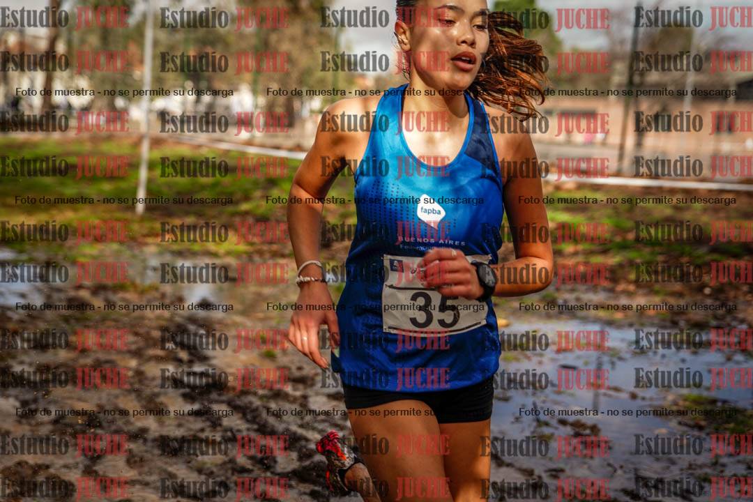 Fotos en el circuito