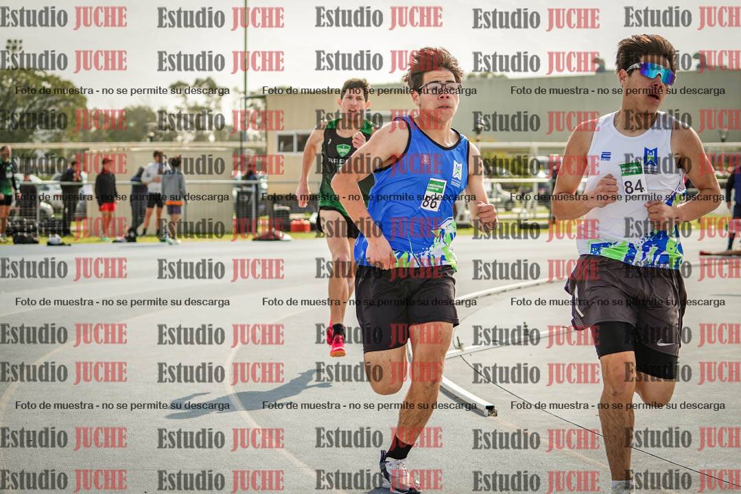Fotos de los 800 m llanos de varones