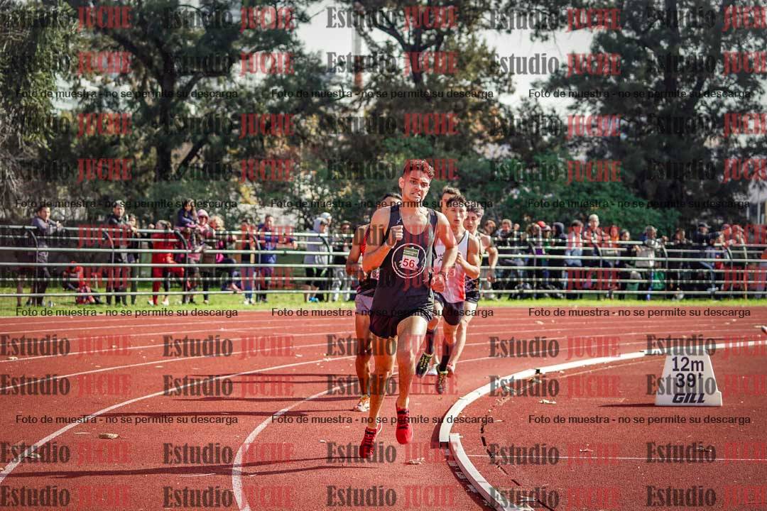 Fotos de los 800 m llanos de varones