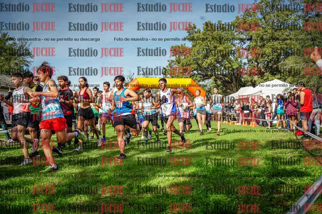 Fotos de la largada