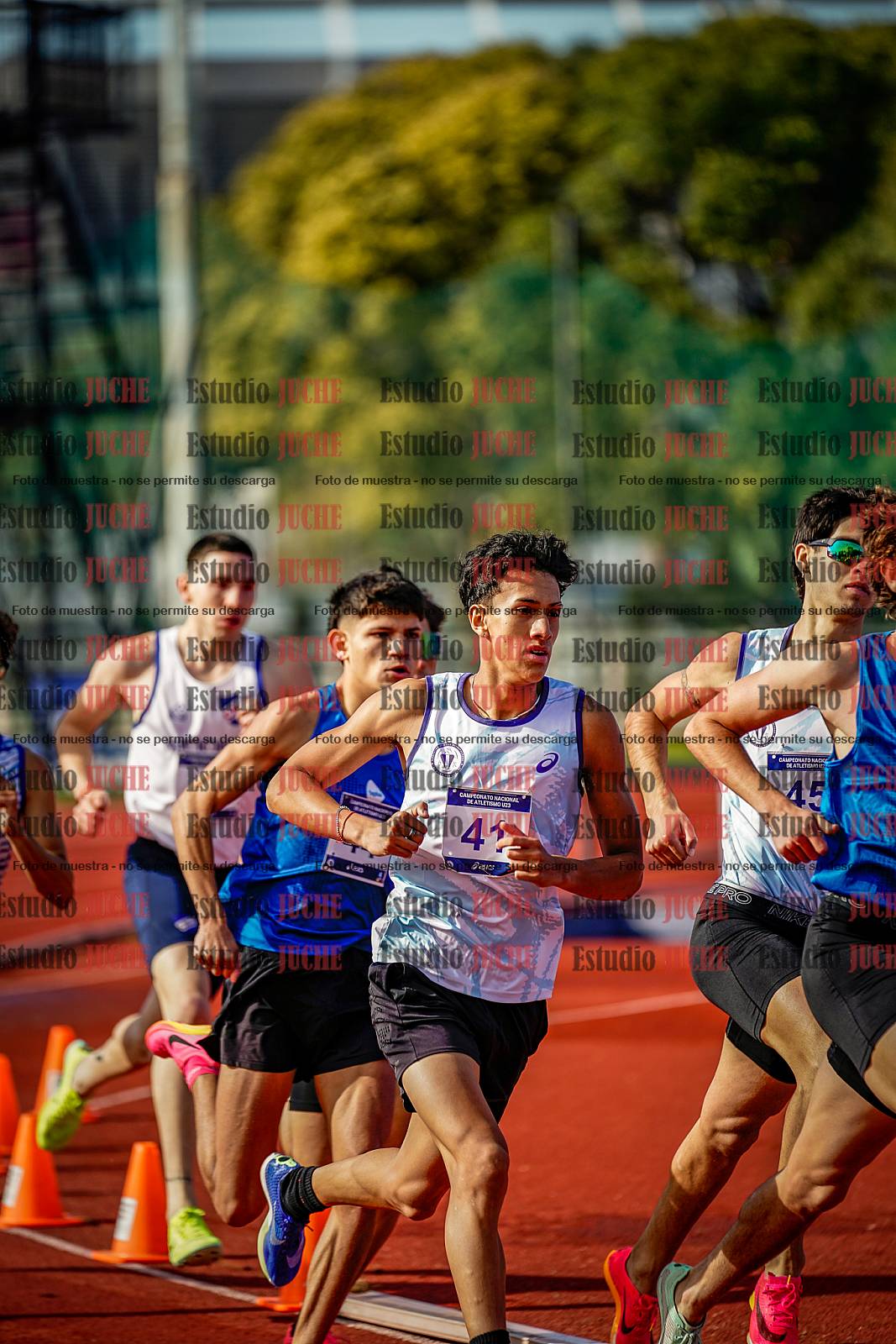 Fotos de los 800 m de varones