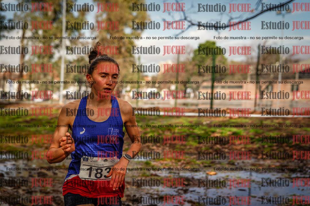 Fotos en el circuito