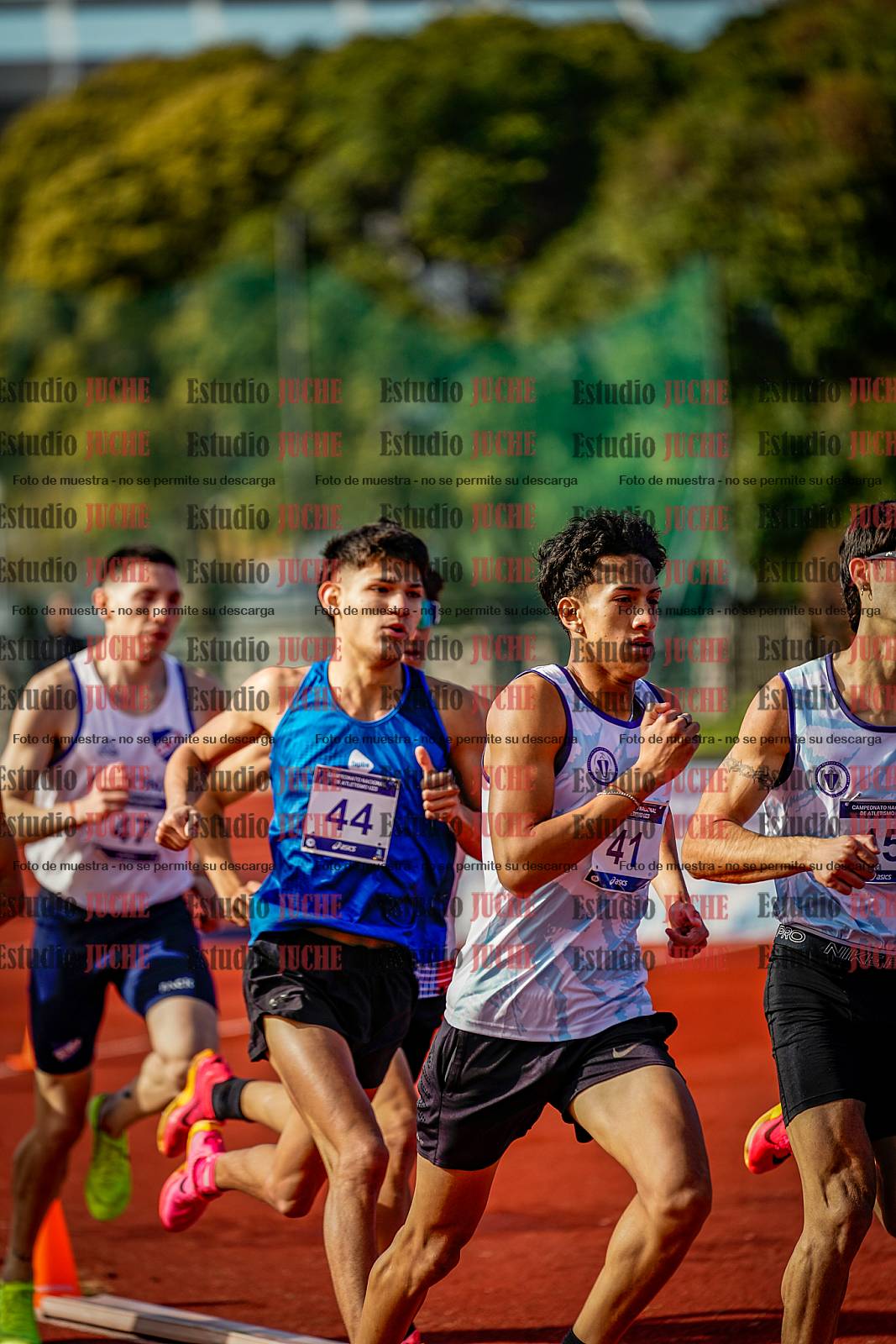 Fotos de los 800 m de varones