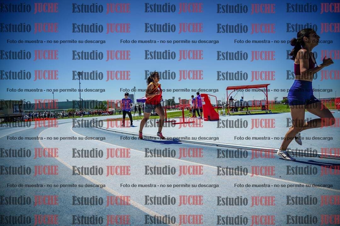 Fotos de los 800 m llanos de mujeres