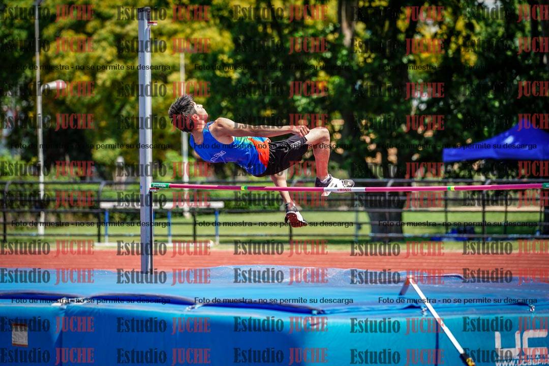 Fotos del salto en alto de varones