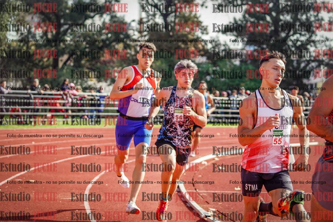 Fotos de los 800 m llanos de varones