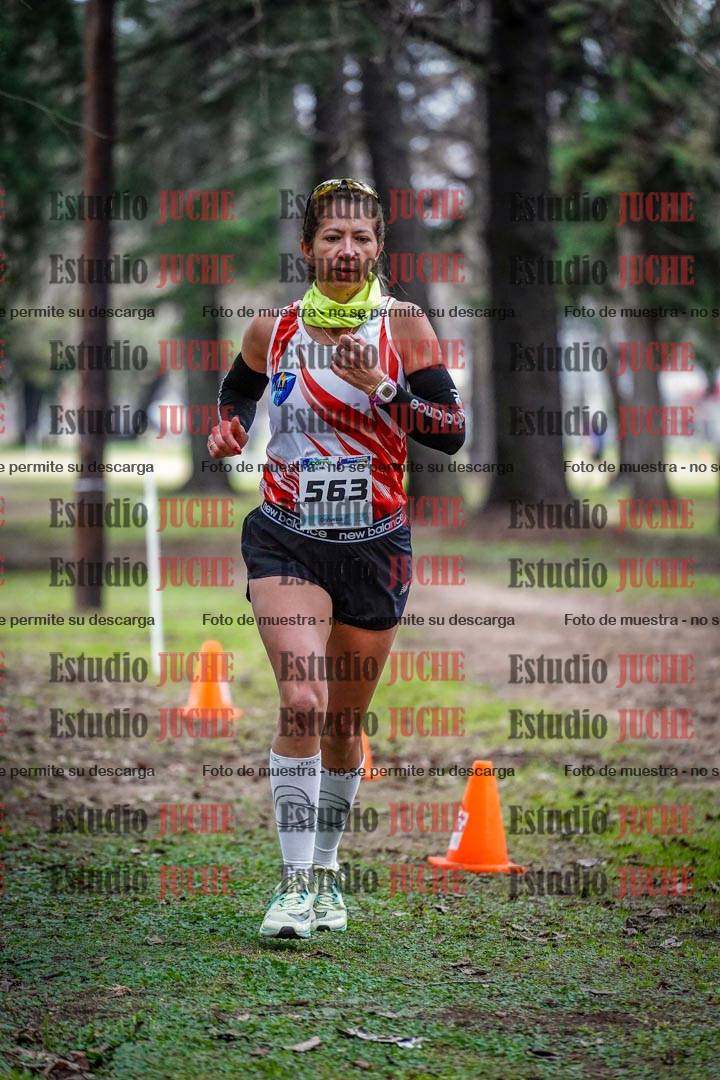 Fotos en el circuito
