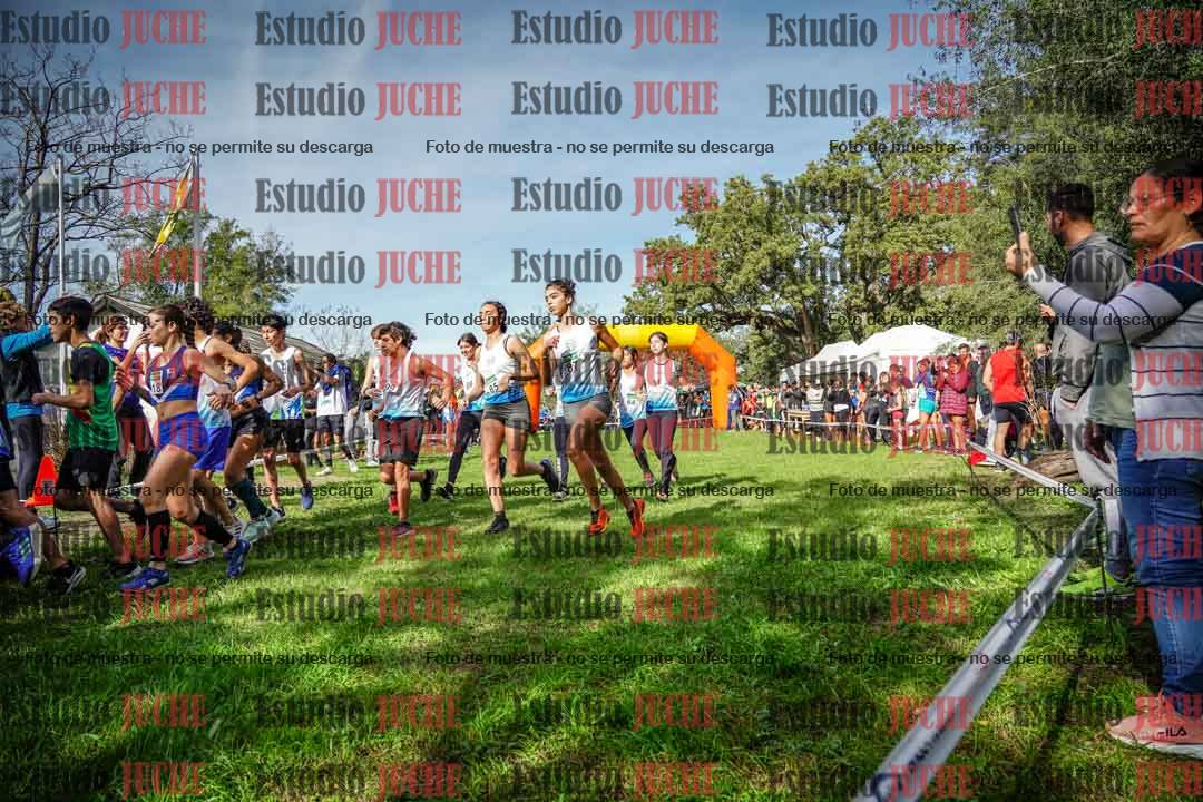 Fotos de la largada