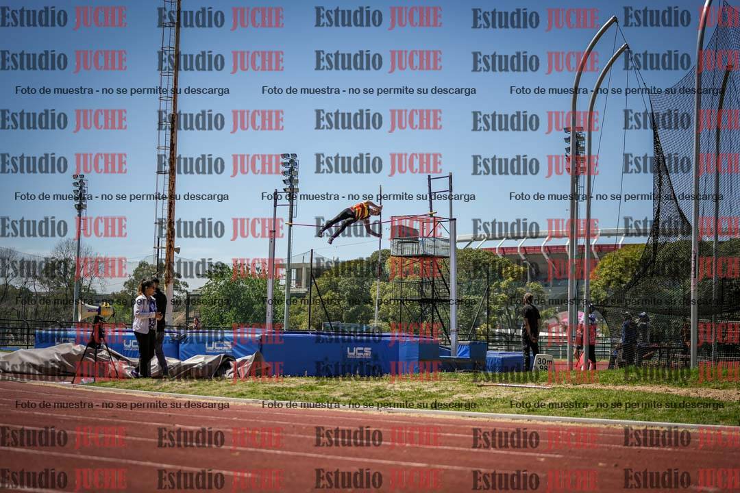 Fotos del salto con garrocha de mujeres y varones