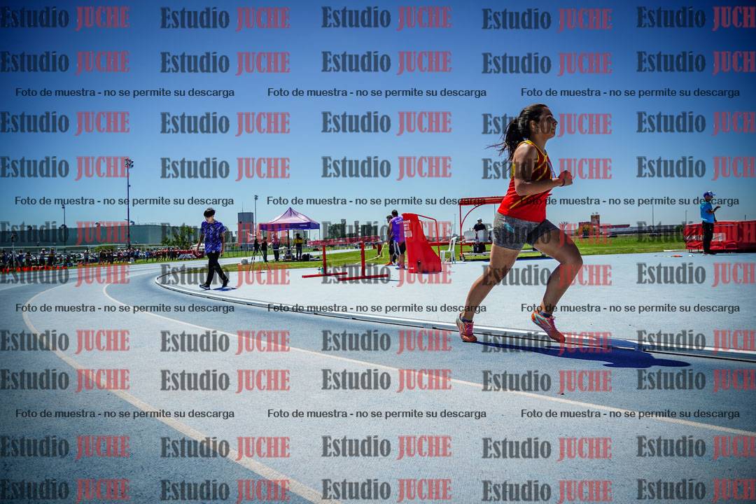 Fotos de los 800 m llanos de mujeres