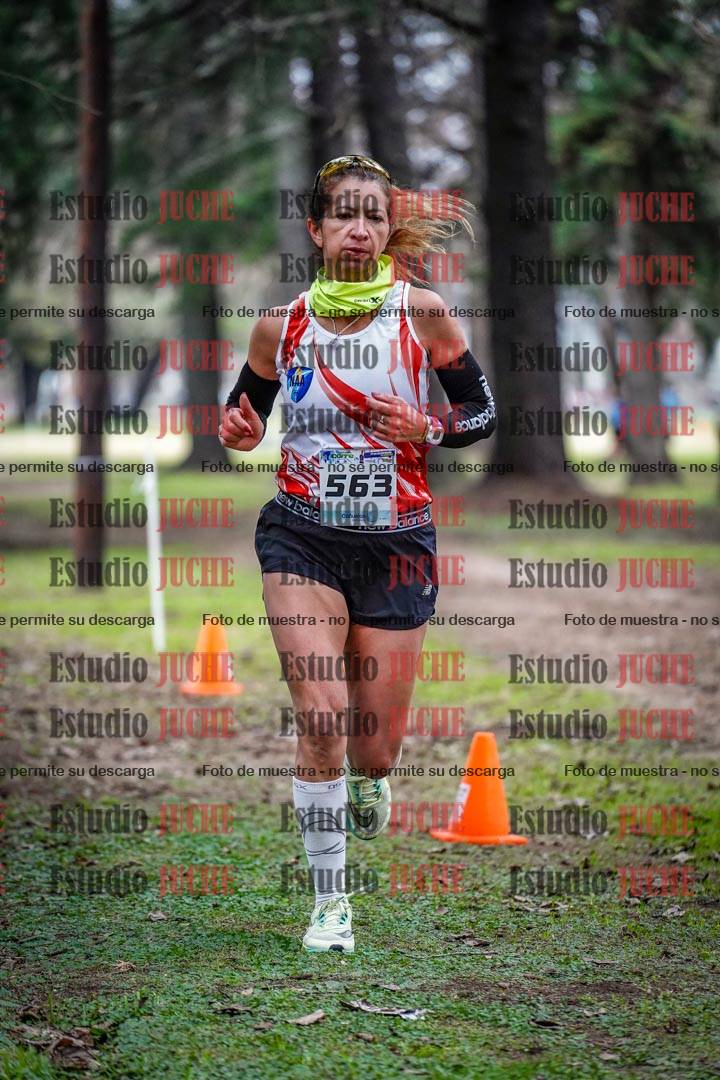 Fotos en el circuito