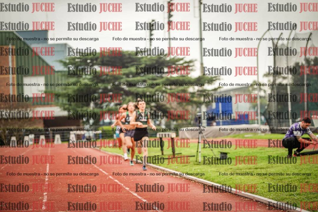 Fotos de los 800 m llanos de mujeres