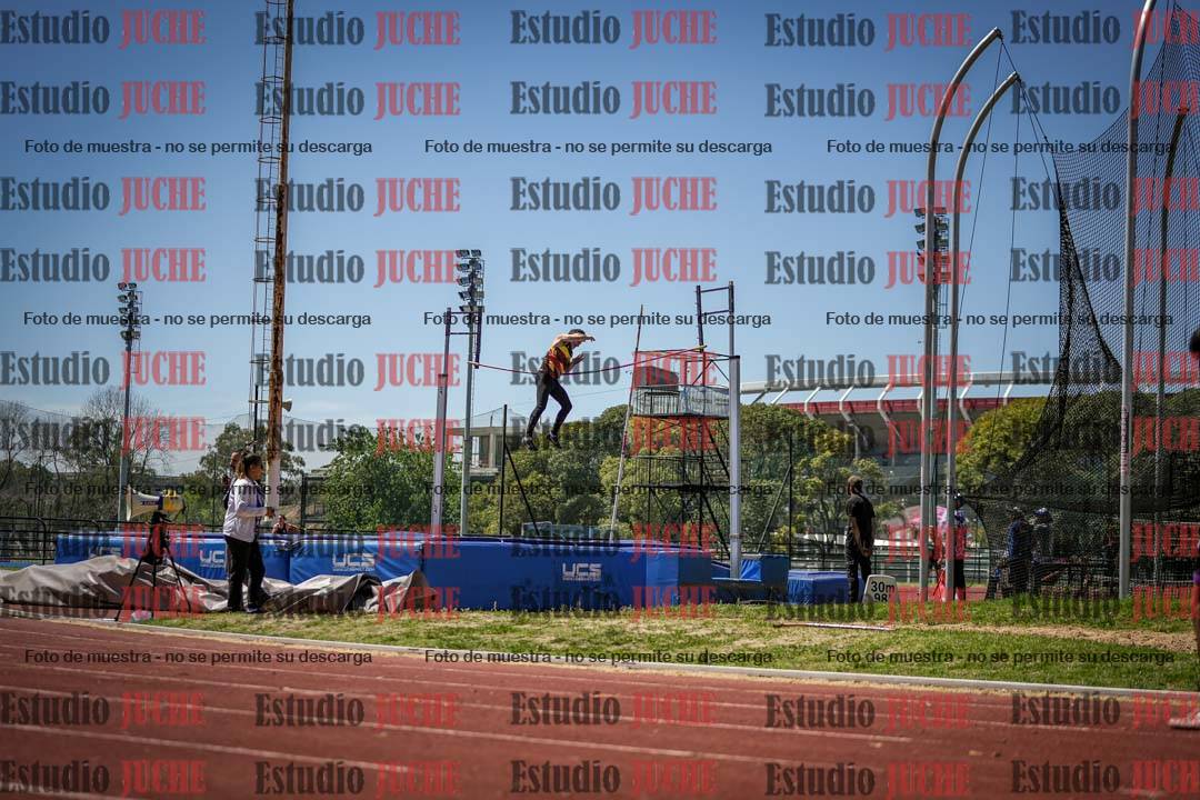Fotos del salto con garrocha de mujeres y varones