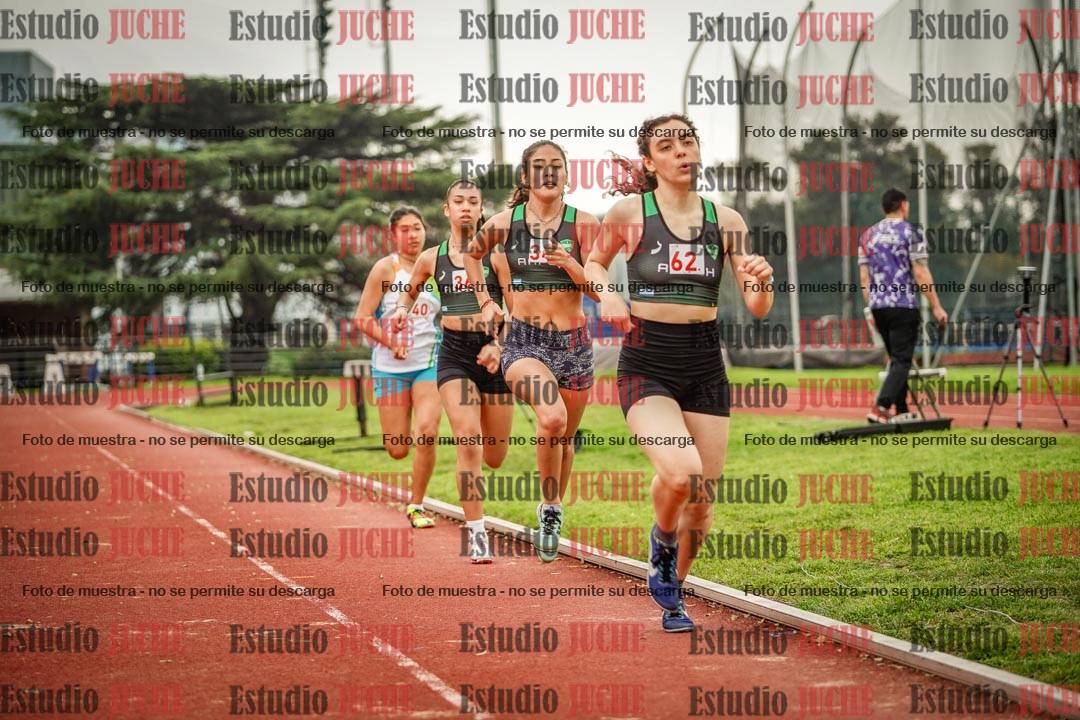 Fotos de los 800 m llanos de mujeres
