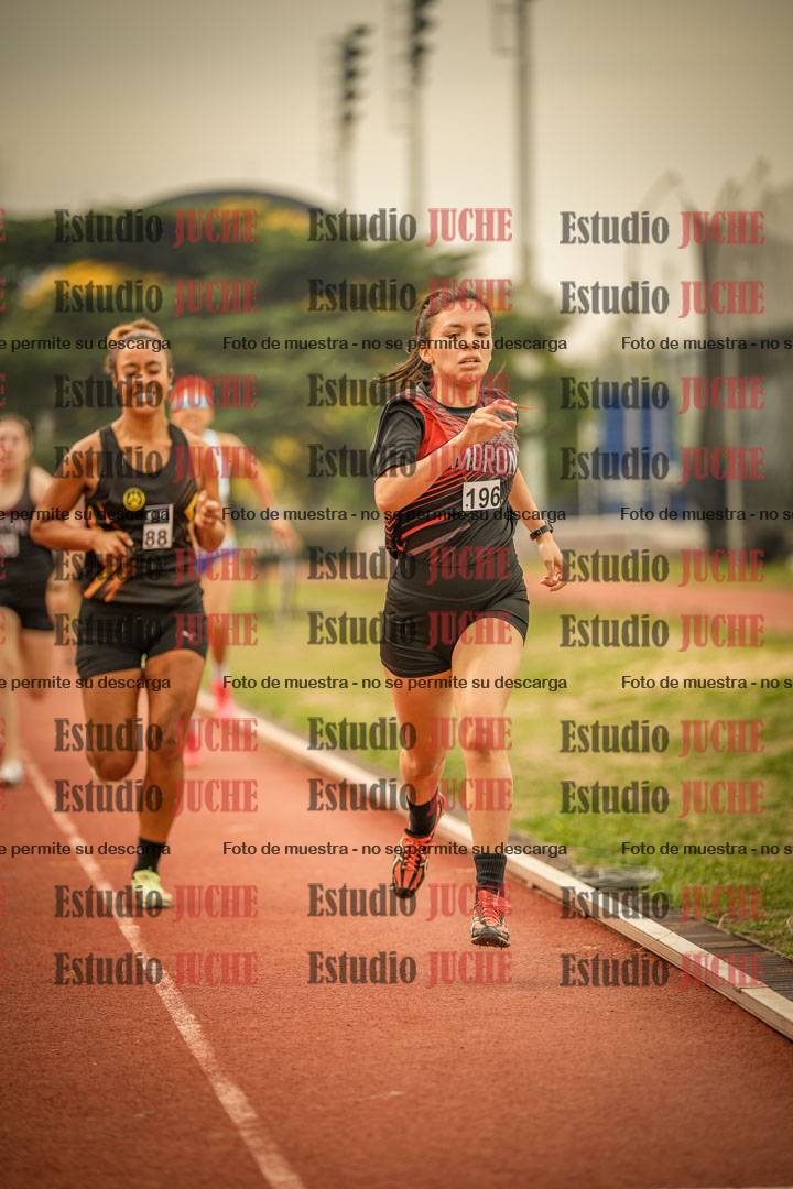 Fotos de los 800 m llanos de mujeres
