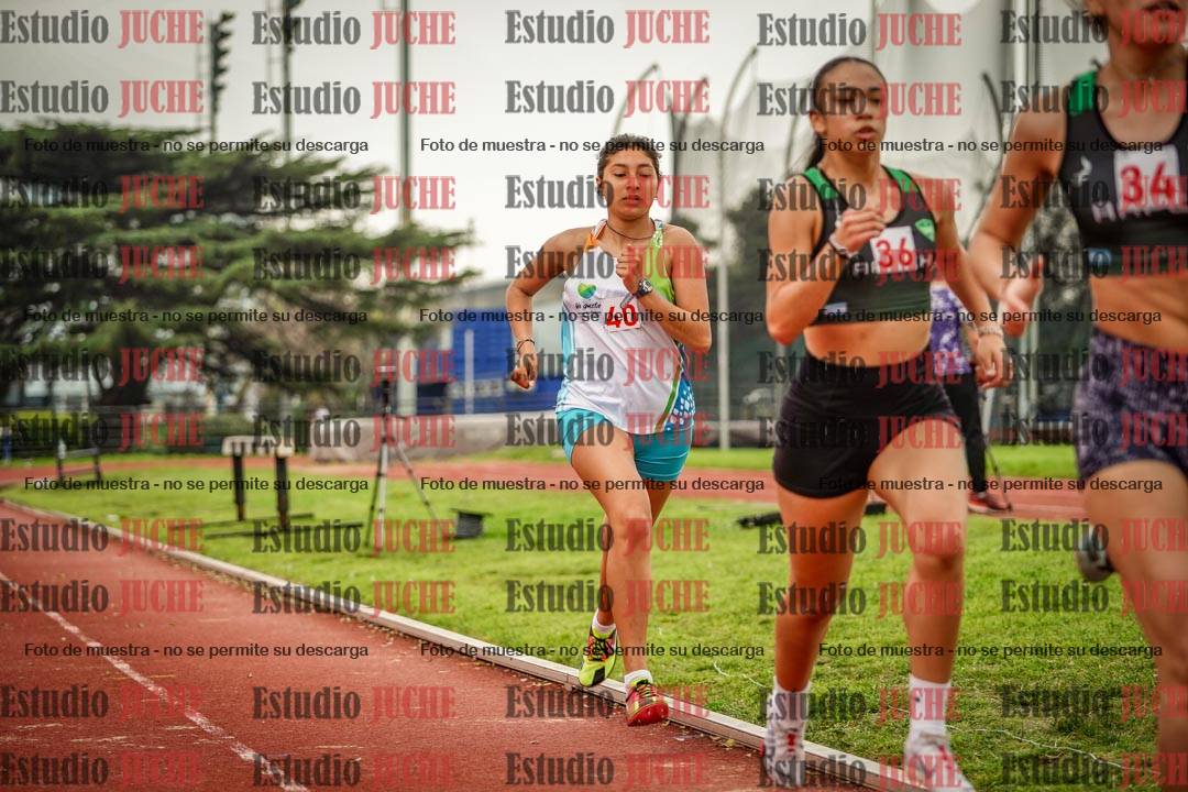 Fotos de los 800 m llanos de mujeres