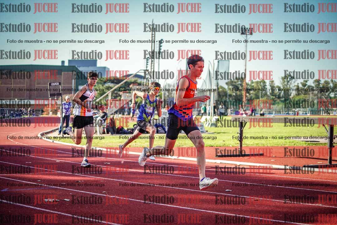 Fotos de los 800 m llanos de varones