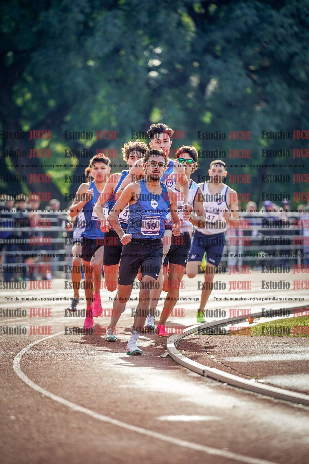Fotos de los 800 m de varones