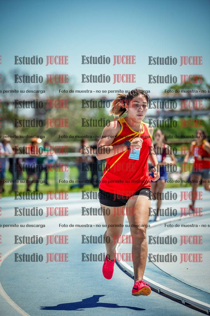 Fotos de los 800 m llanos de mujeres