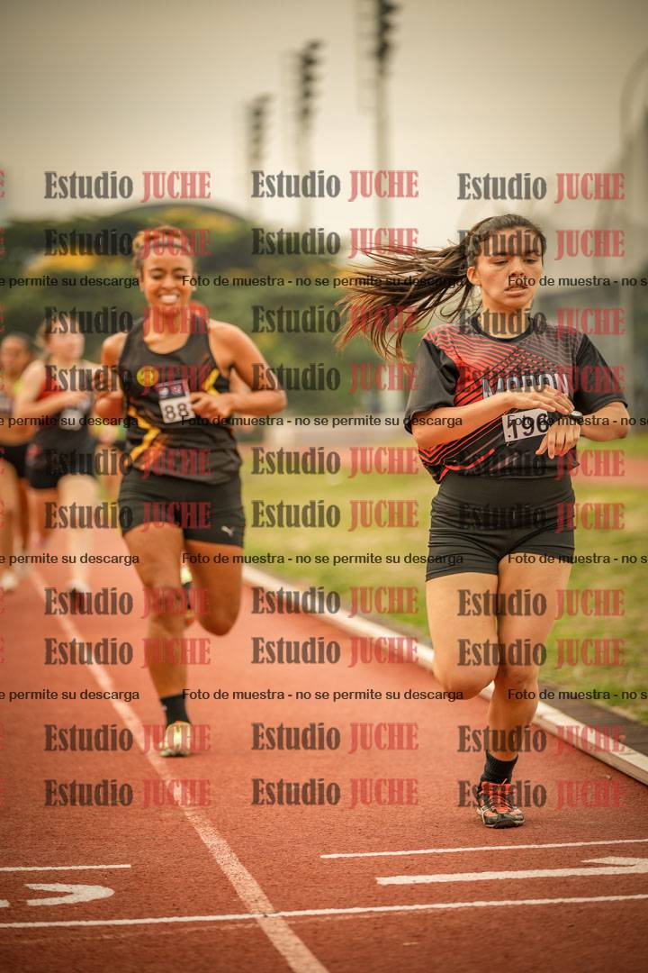 Fotos de los 800 m llanos de mujeres