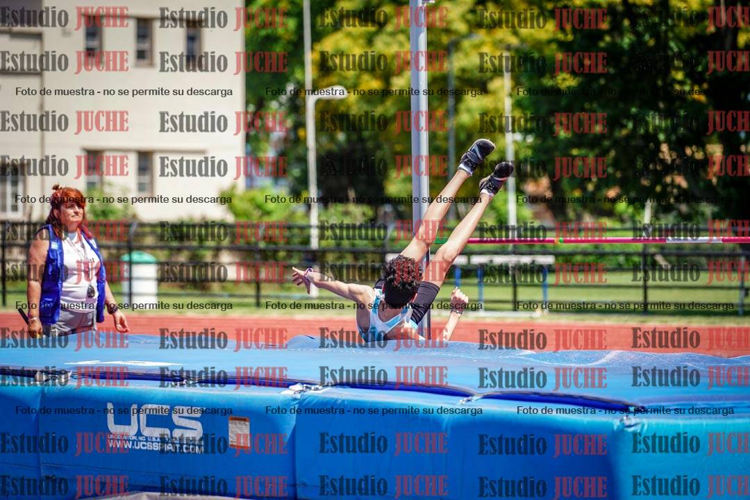 Fotos del salto en alto de varones