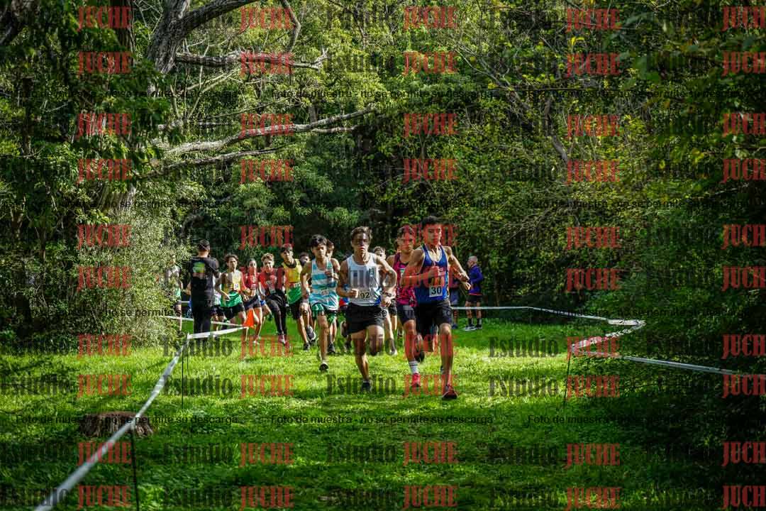 Fotos en el circuito